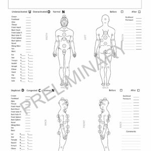 Pranic Healing Scanning Form Male